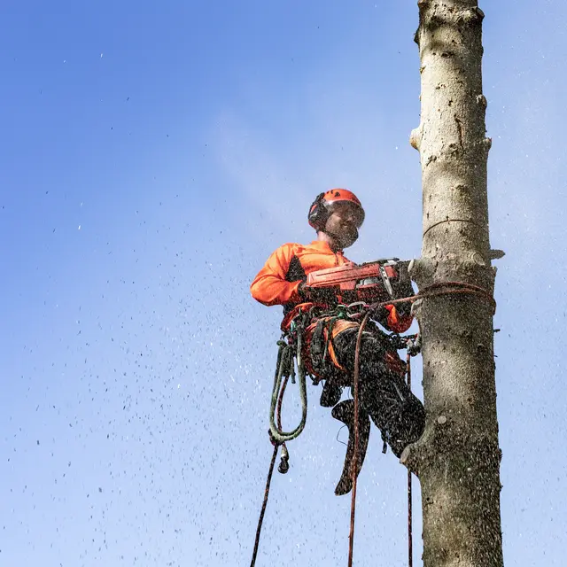 Motorsag 545G MARK II Husqvarna 