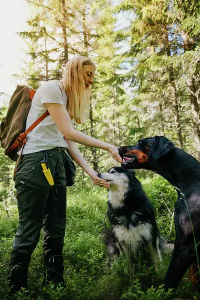 Kniv Kongla Brusletto Sort/gul 